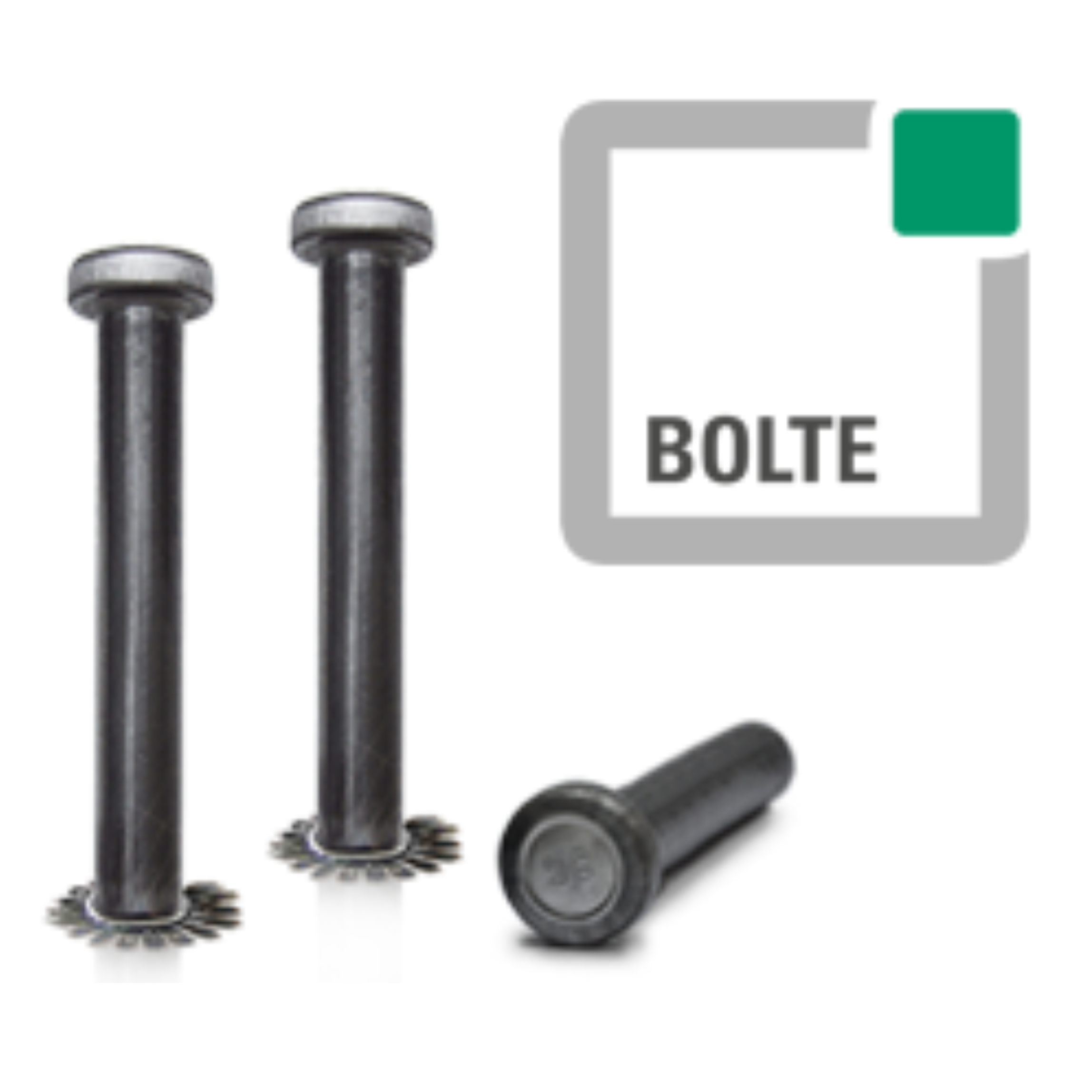 Bolte